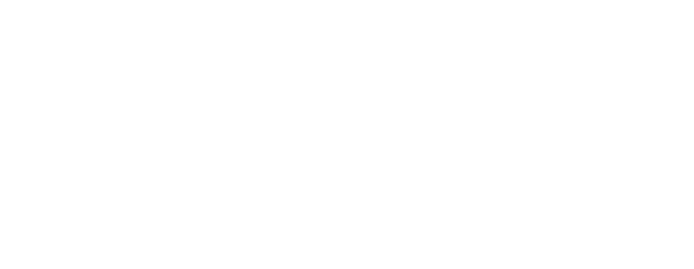Bauza Group